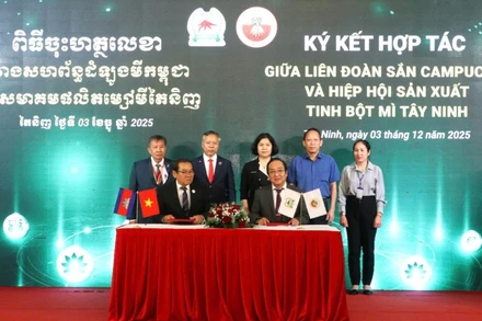Hiệp hội các nhà máy tinh bột sắn Tây Ninh và Liên đoàn sắn Campuchia đã ký kết nhiều biên bản ghi nhớ về việc thúc đẩy phát triển bền vững ngành sắn.