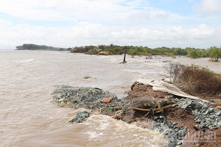 Đoạn bờ bao ngăn triều cường xã đảo Đông Hải, tỉnh Vĩnh Long đã bị nước biển cuốn trôi hoàn toàn.