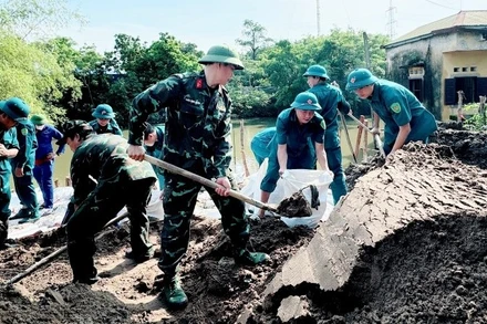 Lực lượng chức năng huyện Thanh Trì cũ khắc phục hậu quả siêu Bão số 3 năm 2024.