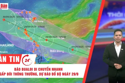 [Video] Thời sự 24h ngày 26/9/2025: Bão Bualoi di chuyển nhanh gấp đôi thông thường, dự báo đổ bộ ngày 29/9