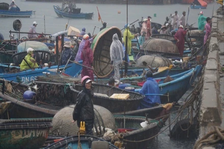 Chủ tịch Ủy ban nhân dân thành phố Đà Nẵng yêu cầu các đơn vị chức năng sẵn sàng ứng phó bão WIPHA .