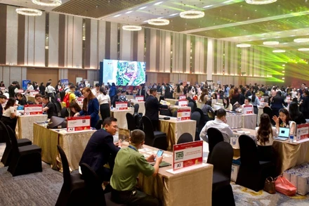Đà Nẵng Đà Nẵng Khai Mạc Ngày Hội Du Lịch Quốc Tế Năm 2025.