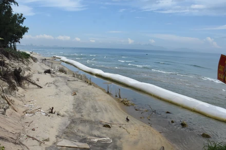 Hiện trạng bờ biển Hội An sạt lở nghiêm trọng, ảnh chụp sáng 13/9. (Ảnh: ANH ĐÀO)