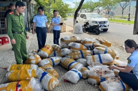 Đoàn kiểm tra tạm giữ lô hàng mực khô có dấu hiệu mốc, bốc mùi. (Ảnh: Chi cục Quản lý thị trường Đà Nẵng)