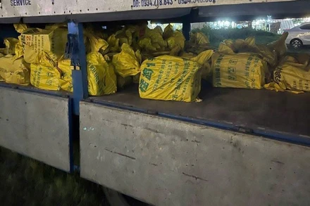 Số lượng bình khí cười bị lực lượng chức năng thu giữ. (Ảnh: Công an cung cấp)