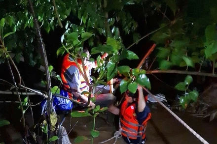 Người đàn ông bị nước cuốn may mắn bám vào cành cây được lực lượng chức năng ứng cứu kịp thời. (Ảnh: Công an cung cấp)