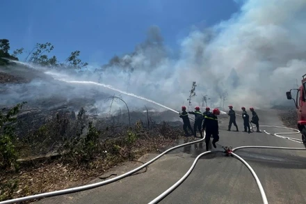 Toàn bộ diện tích rừng thực bì cháy đã được dập tắt, không để lan rộng ra các diện tích rừng khác. (Ảnh: MV)