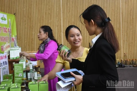 Khu vực trưng bày, giới thiệu các sản phẩm nông nghiệp sạch đạt chuẩn OCOP 4, 5 sao của Đà Nẵng. (Ảnh: ANH ĐÀO)