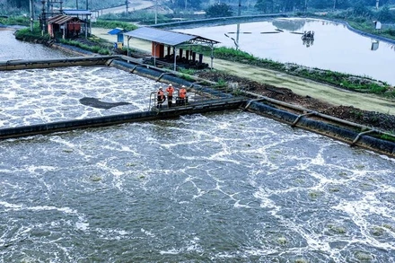Trạm xử lý nước thải tập trung của Công ty áp dụng công nghệ hiện đại, công suất xử lý tối đa 1.500m³/h.