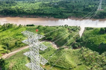 Sau hơn 6 tháng thi công thần tốc, tuyến đường dây truyền tải 220kV từ nhà máy điện gió Savan 1 trên lãnh thổ Lào đã được hoàn thành.