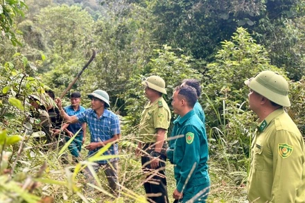 Thành viên Tổ bảo vệ rừng bản Háng Lìa A cùng kiểm lâm địa bàn tuần tra bảo vệ rừng.