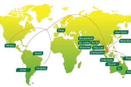 Sản phẩm của Phân bón Dầu khí Cà Mau có mặt tại gần 20 quốc gia trên thế giới.