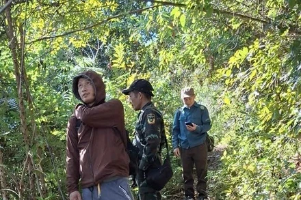 Thành viên Tổ bảo vệ rừng bản Con Cang cùng kiểm lâm xã Sam Mứn tuần tra bảo vệ rừng.