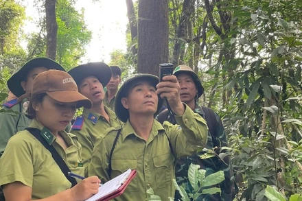 Cán bộ Ban Quản lý Khu dự trữ thiên nhiên Mường Nhé cùng lực lượng kiểm lâm, nhân dân trên địa bàn tuần tra rừng.