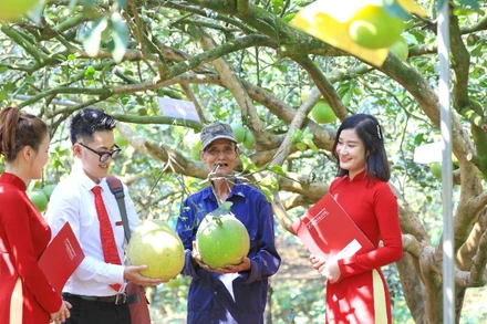 Trong nhiều năm qua, Agribank luôn tích cực triển khai các chương trình tín dụng ưu đãi nhằm tạo nguồn vốn cho phát triển nông nghiệp sạch, năng lượng tái tạo và tiêu dùng bền vững.