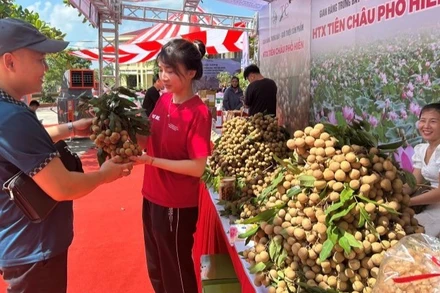  Sản phẩm OCOP nhãn Hưng Yên.