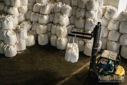 Công ty Nhôm Đắk Nông - TKV phấn đấu mục tiêu đạt 700 nghìn tấn alumin quy đổi trong năm 2026.