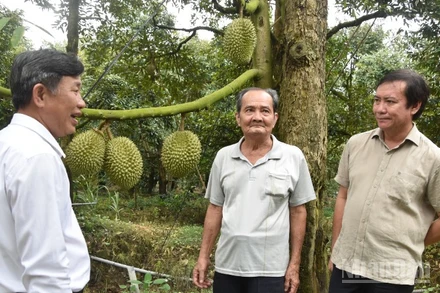 Đồng chí Lê Hà Luân (bên phải) trao đổi với nông dân xã Long Tiên, tỉnh Đồng Tháp về hướng phát triển cây sầu riêng.