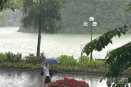 Dự báo khu vực Hà Nội đêm 18/10 và sáng 19/10 có mưa, mưa rào rải rác và có dông. (Ảnh minh họa: Đ.T)