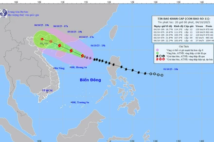 Bản đồ dự báo quỹ đạo và cường độ bão số 11 phát lúc 20 giờ ngày 4/10.