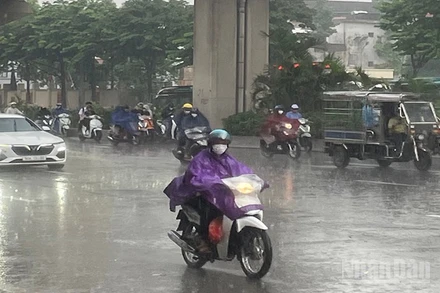 Ảnh minh họa: Đ.T