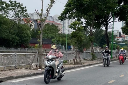 Ảnh minh họa: Đ.T