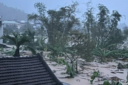 Nhiều khu vực ở xã Đồng Xuân, Đắk Lắk, bị ngập nặng. (Ảnh: CÔNG LÝ)