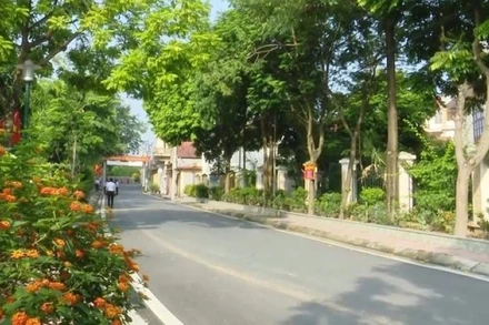 Việc thực hiện chương trình xây dựng nông thôn mới đã tạo nên cảnh quan xanh, sạch ở địa bàn xã Đan Phượng.