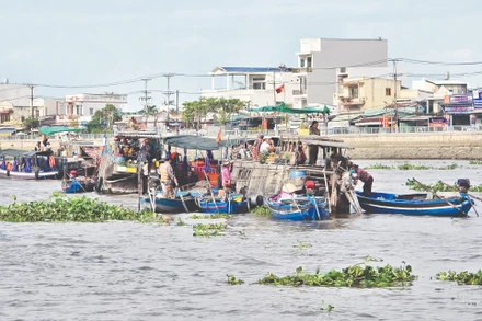 Rác, bèo trôi nổi trên sông Cần Thơ. Ảnh: Hải Nam