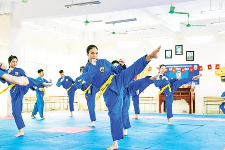 Các VĐV đội tuyển Vovinam tập luyện tại Trung tâm Huấn luyện và Thi đấu TDTT tỉnh. Ảnh: B.TH