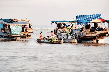 Từ sáng sớm, trên dòng Hậu Giang đã tấp nập người mua kẻ bán.