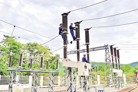 Dự án điện sinh khối giúp Cần Thơ hướng đến tăng trưởng xanh, bền vững. Ảnh: VNPD