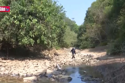 Hạn hán Tây Nguyên ngày càng diễn ra với tần suất lớn và nghiêm trọng hơn.