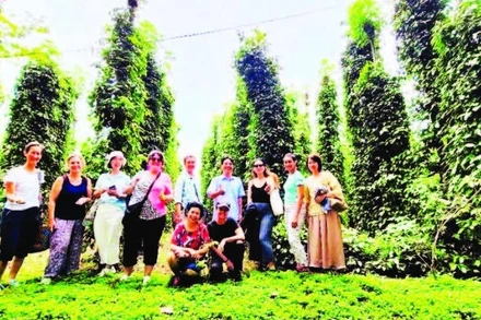 Nhiều khách nước ngoài đã tới vườn tiêu Bầu Mây để trực tiếp tìm hiểu và thưởng thức sản phẩm.