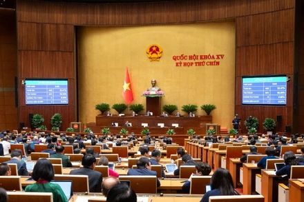 Tiếp tục áp dụng cơ chế, chính sách đặc biệt xây dựng dự án điện hạt nhân