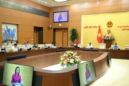 Hướng dẫn về tổ chức, hoạt động của Đoàn đại biểu Quốc hội, Hội đồng nhân dân cấp tỉnh, cấp xã sau sắp xếp