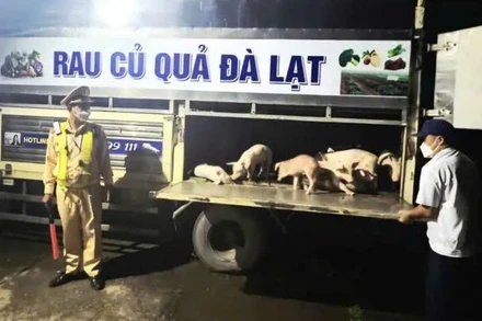 Xe ô tô tải mang biển kiểm soát 49C-21489 bị lực lượng cảnh sát giao thông, Công an tỉnh Đắk Lắk dừng lại để kiểm tra. (Ảnh: CTV)