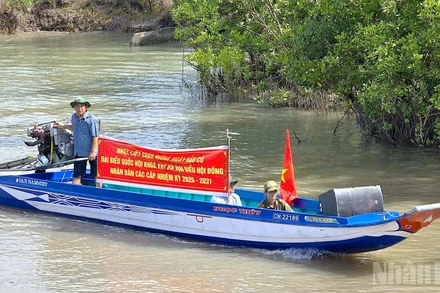 Cán bộ chạy xuồng đến tận những căn nhà ven sông để trao thẻ cử tri, mang lại niềm vui và sự an tâm cho bà con vùng sâu Cà Mau. 