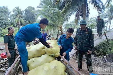 Cán bộ, chiến sĩ Bộ Chỉ huy Quân sự tỉnh Cà Mau xuống tận nơi hỗ trợ nhà nông tiêu thụ bí đỏ.
