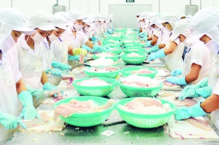 Chế biến cá tra xuất khẩu tại Khu công nghiệp Trà Nóc, thành phố Cần Thơ.