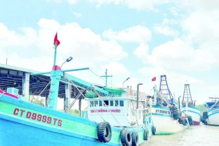 Tàu cá Cần Thơ tập kết tại Cảng cá Trần Đề.