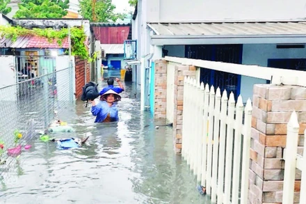 Biến đổi khí hậu, triều cường tạo nên các hiện tượng thời tiết cực đoan, trong đó có tình trạng ngập, lụt tại nhiều khu vực trên địa bàn Thành phố Hồ Chí Minh.