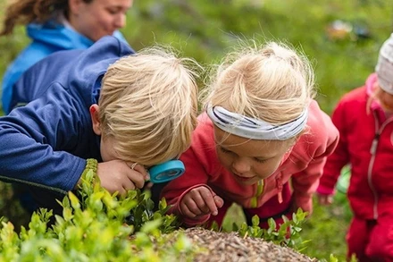 Trẻ em có cơ hội khám phá một cách độc lập trong giờ học.