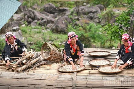 Phụ nữ Hà Nhì ở bản Pa Pảng vẫn đối mặt rào cản bình đẳng giới. (Ảnh: VŨ LINH)