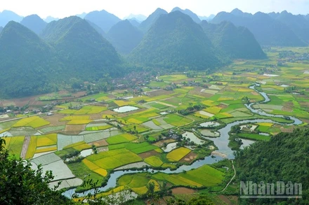 Ngành văn hóa quyết tâm thúc đẩy du lịch thành ngành kinh tế mũi nhọn. 