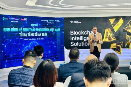 Hội thảo thu hút các chuyên gia trong nước và quốc tế chia sẻ, thảo luận. (Ảnh: HNV)