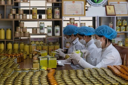 Nâng cao hiệu quả quản lý nhà nước, trách nhiệm phối hợp của các cơ quan, tổ chức trong đổi mới, nâng cao chất lượng đào tạo nghề cho lao động nông thôn. (Ảnh: PV)