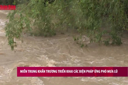 [Video] Miền Trung khẩn trương triển khai các biện pháp ứng phó mưa lũ