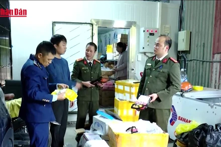 [Video] Phát hiện gần 1,2 tấn thực phẩm đông lạnh quá hạn sử dụng