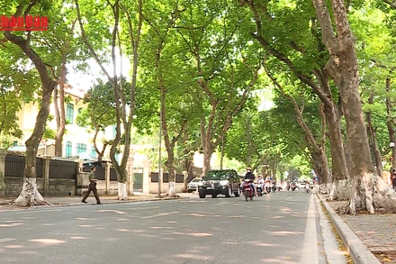 [Video] Mở rộng diện khấu trừ lương để cưỡng chế thi hành xử phạt hành chính từ năm 2026